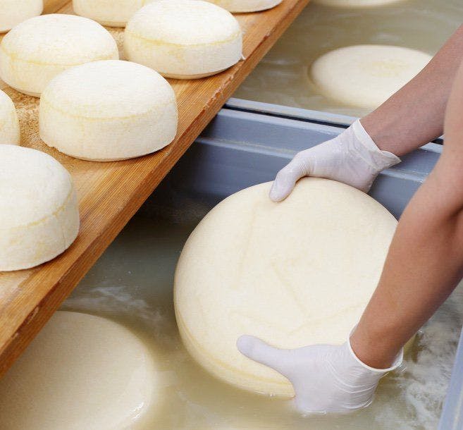 A person making cheese.