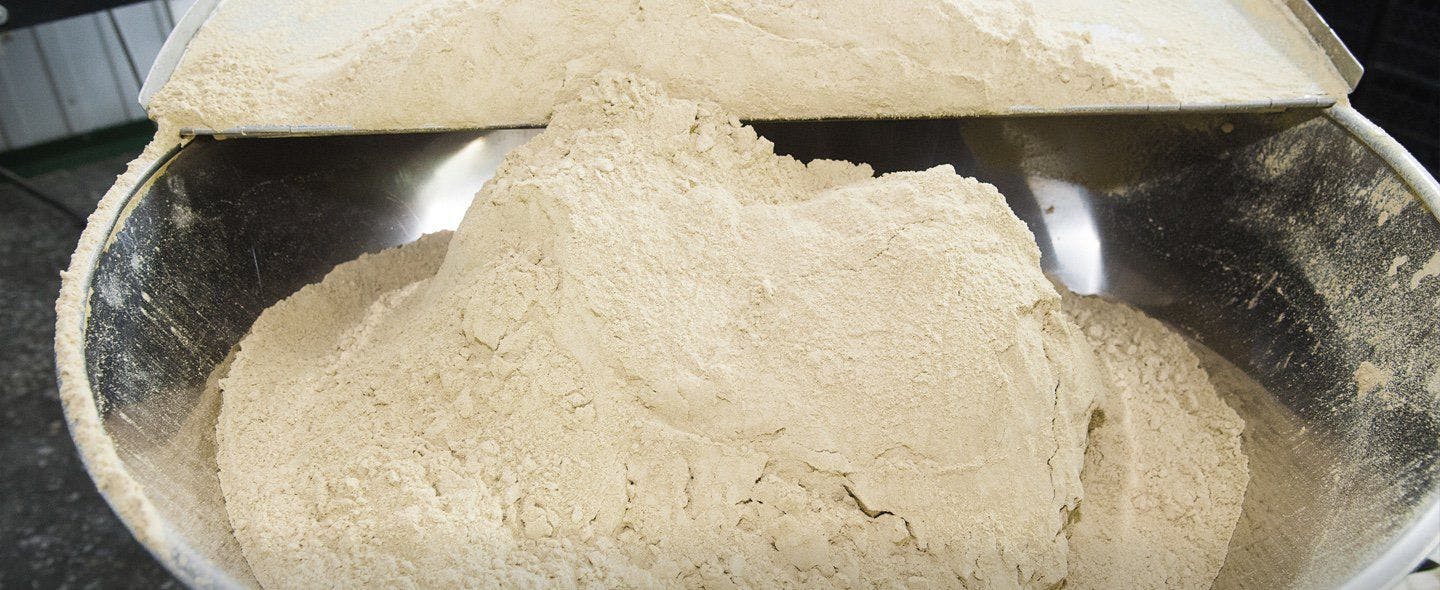 A large bowl of dried milk powder.